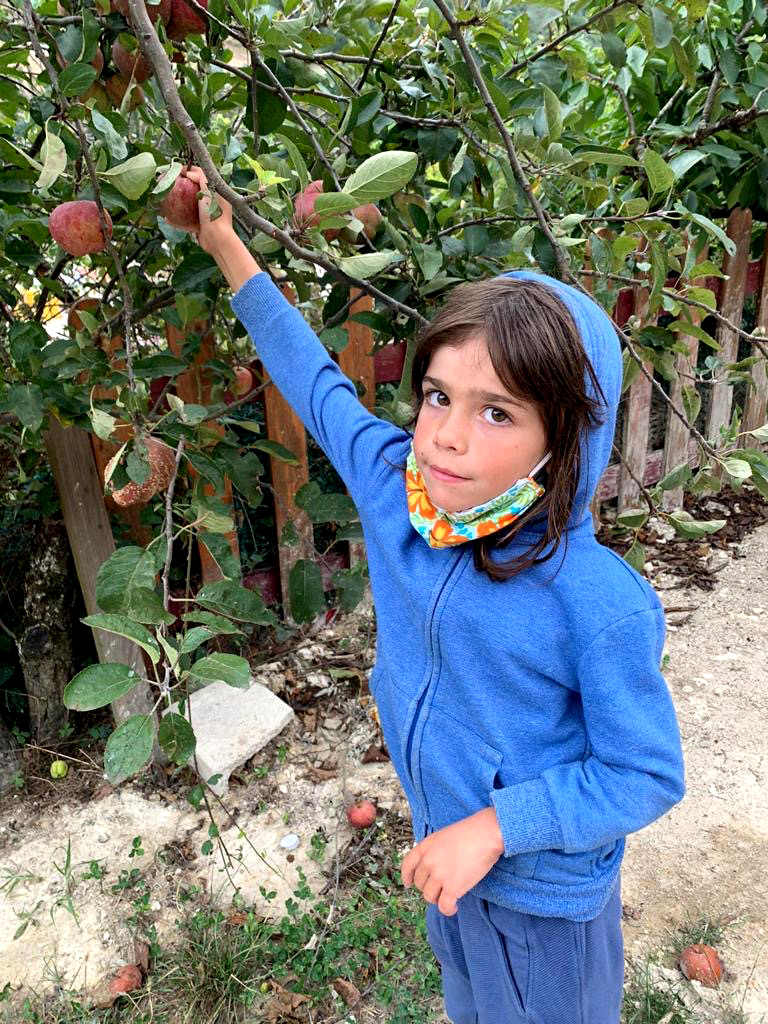 Fruitbomen en de Wijngaard; buiten op de finca; in de tuin van la finca roja, Potes